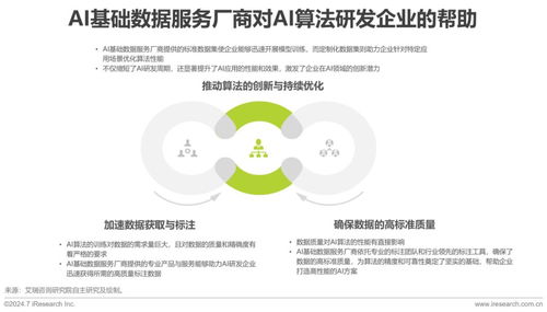 2024年中國AI基礎(chǔ)數(shù)據(jù)服務(wù)研究報告 聚焦工業(yè)互聯(lián)網(wǎng)數(shù)據(jù)服務(wù)